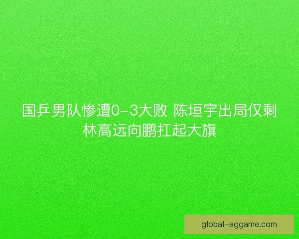 国乒男队惨遭0-3大败 陈垣宇出局仅剩林高远向鹏扛起大旗